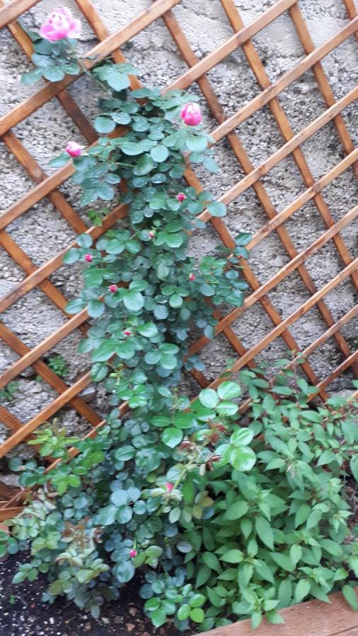 Apartman Hidden Gem Šibenik Esterno foto